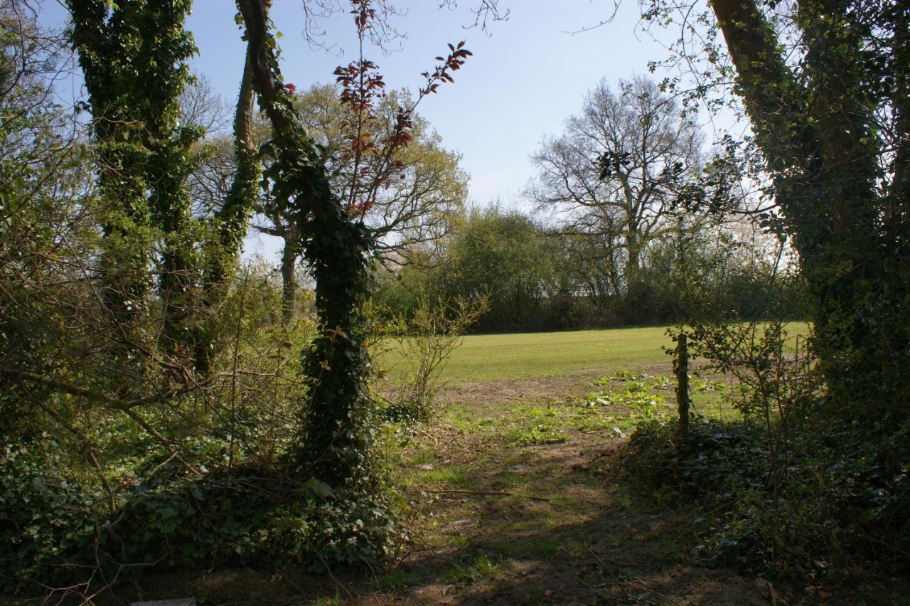 Spacious 4 Bed Family Cottage In Parkland Setting York Exteriér fotografie